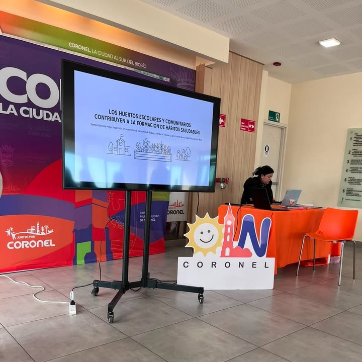 Consejo Consultivo de la Oficina Local de la Niñez